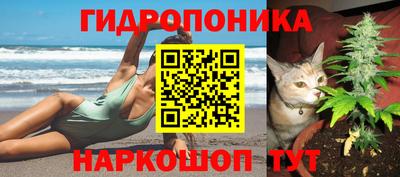 spice Будённовск