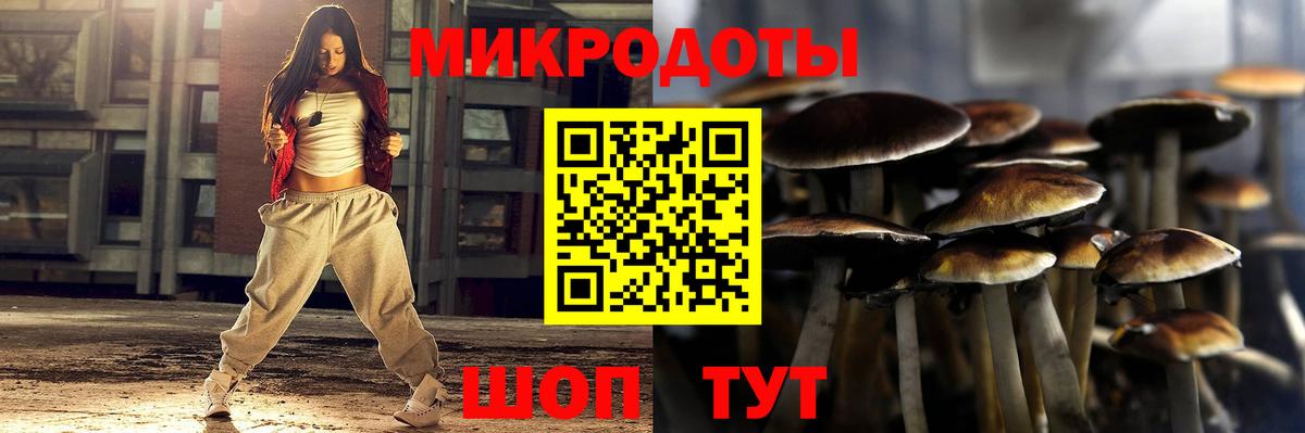 Псилоцибиновые грибы Psilocybine cubensis  где продают наркотики  Вход с VPN  Урюпинск  Галлюциногенные грибы Psilocybe 
